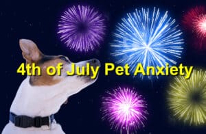 4th of july pet anxiety