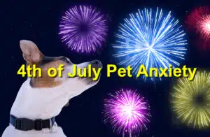4th of july pet anxiety