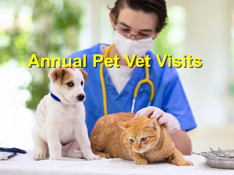 You are currently viewing Annual Pet Vet Visits