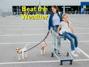 Read more about the article Beat the Weather