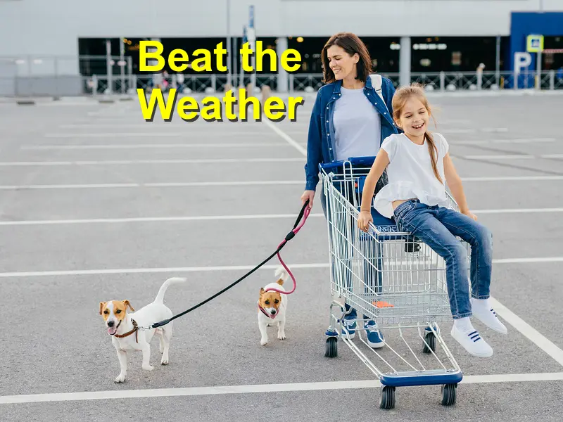 Read more about the article Beat the Weather