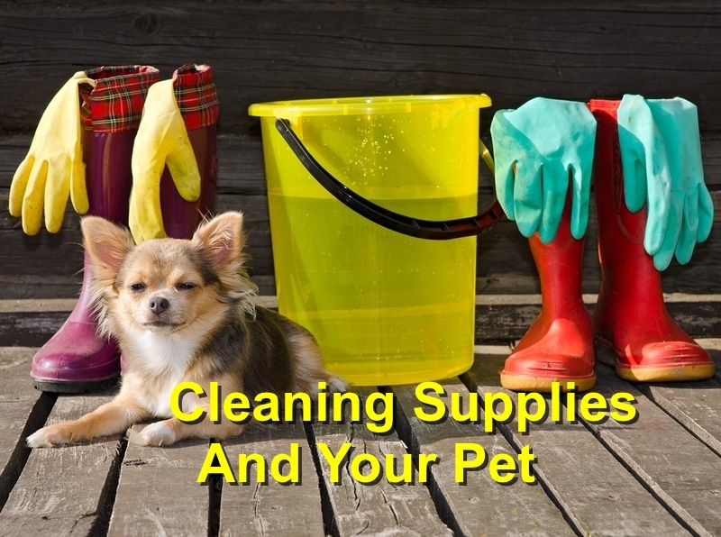 Read more about the article Cleaning Supplies