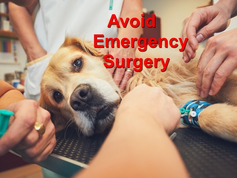 Read more about the article Preventing Emergency Surgery