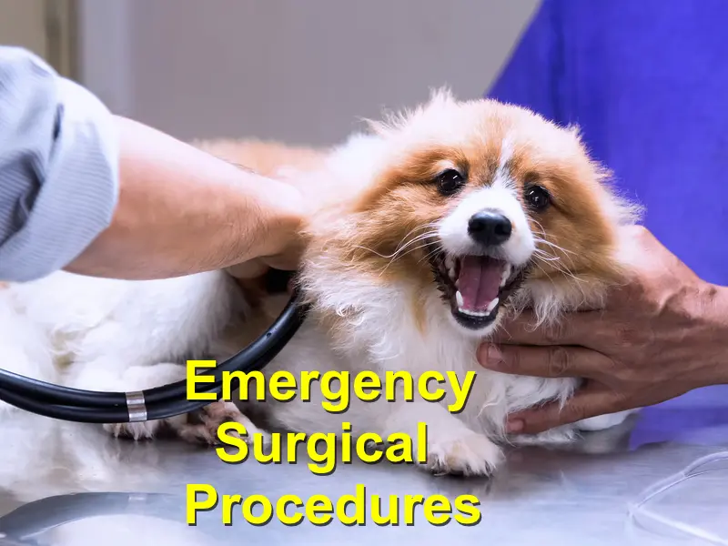 You are currently viewing Emergency Surgical Procedures