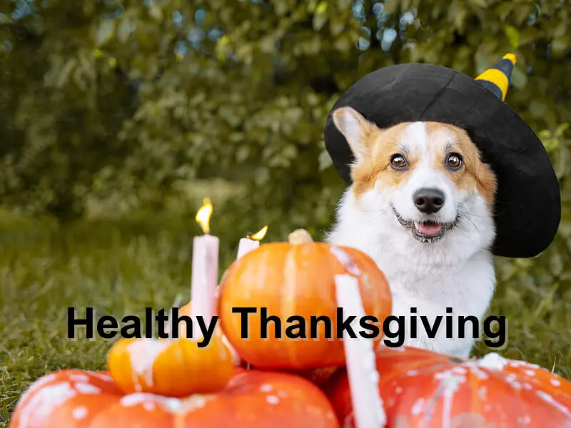Read more about the article Healthy Thanksgiving