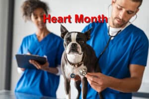 Heart Month: Recognizing Cardiac Emergencies