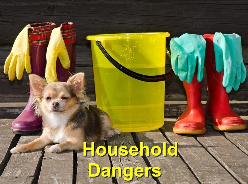 Read more about the article Household Dangers