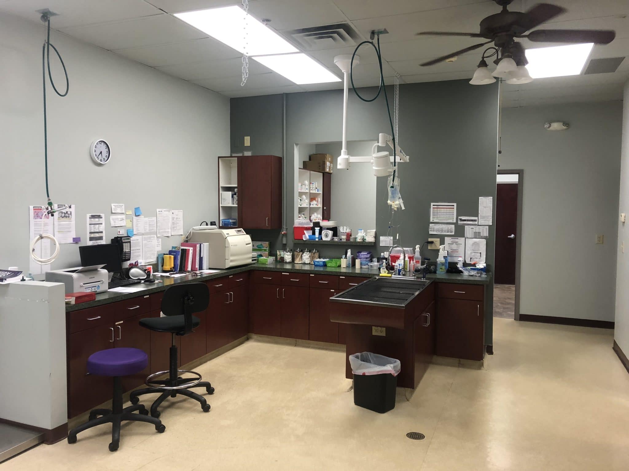 About Emergency Animal Care Braselton