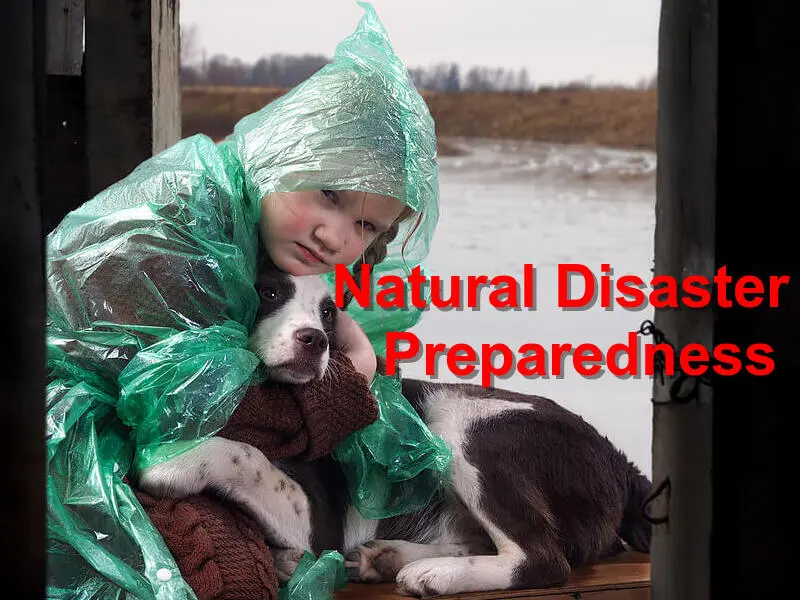 You are currently viewing Natural Disaster Preparedness