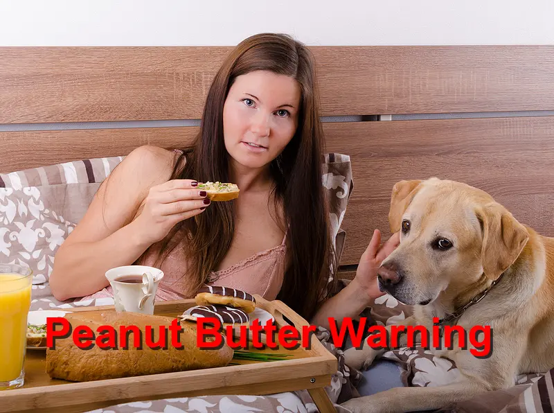 You are currently viewing Peanut Butter Warning