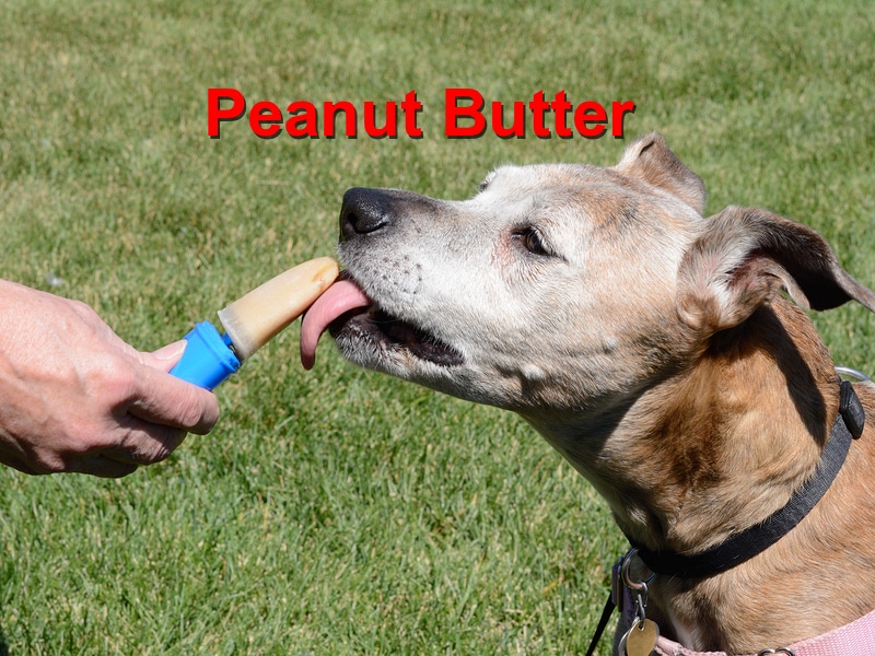 can peanuts kill dogs