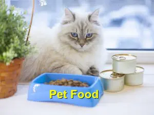 Read more about the article Pet Food