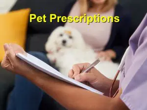 Read more about the article Pet Prescriptions