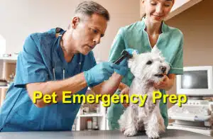 Pet emergency prep