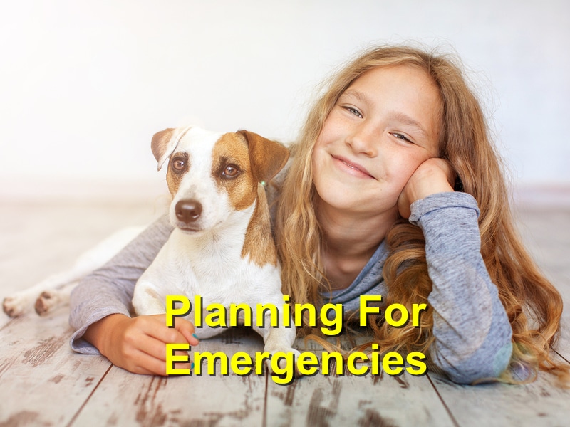 Read more about the article Planning For Emergencies