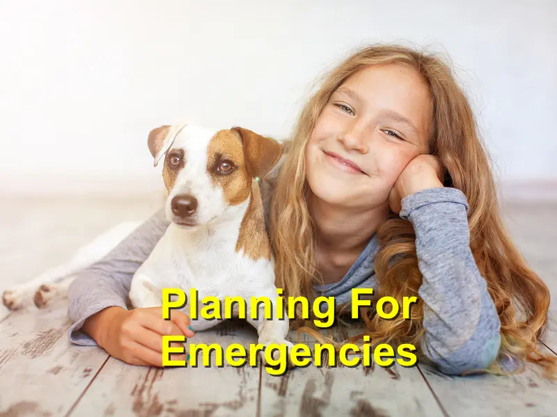 You are currently viewing Planning For Emergencies