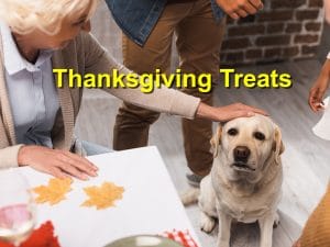 Read more about the article Thanksgiving Treats