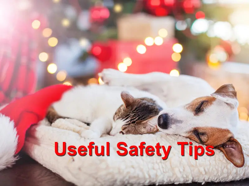 You are currently viewing Safety tips to use