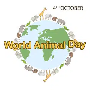 World Animal Day