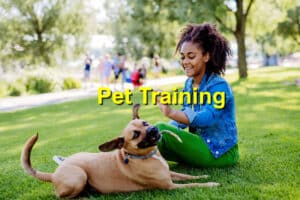 Read more about the article The Benefits of Training Your Pet
