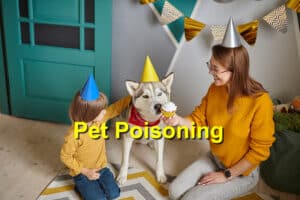 Read more about the article The Dangers of Pet Poisoning: How to Keep Your Pet Safe