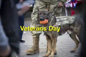 veterans day