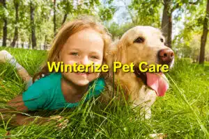 Winterize Pet Care
