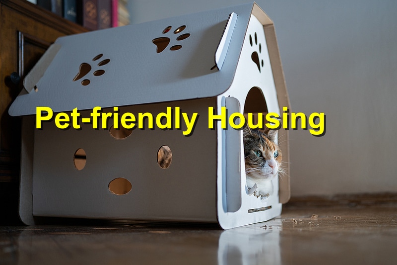 The Role of Pet-Friendly Housing in Animal Welfare