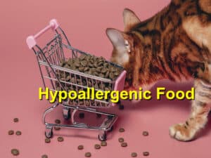 Read more about the article The Benefits of a Hypoallergenic Diet for Your Pet