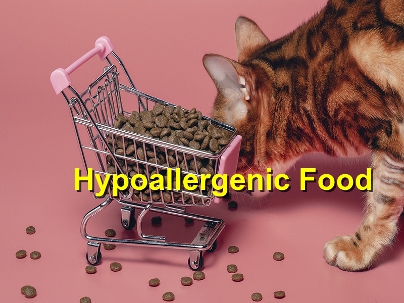 You are currently viewing The Benefits of a Hypoallergenic Diet for Your Pet