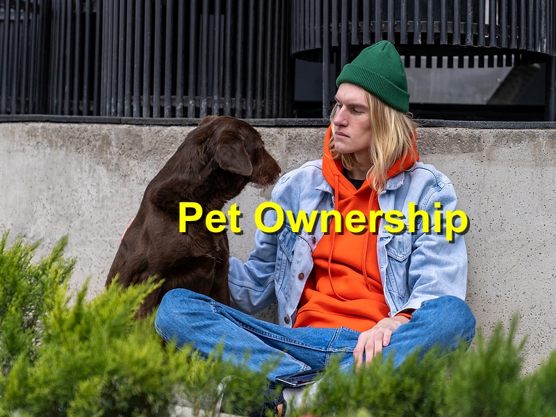 The Role of Pet Ownership in Reducing Stress and Anxiety