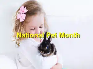 Read more about the article National Pet Month: Celebrating Our Furry Friends