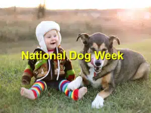 National Dog Week