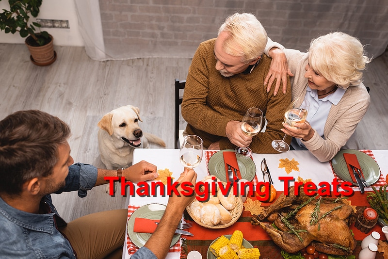 You are currently viewing Thanksgiving Treats You Can Share with Your Pets