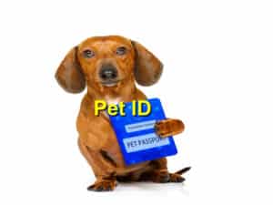 National Pet ID