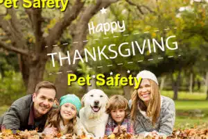 Thanksgiving pet safety