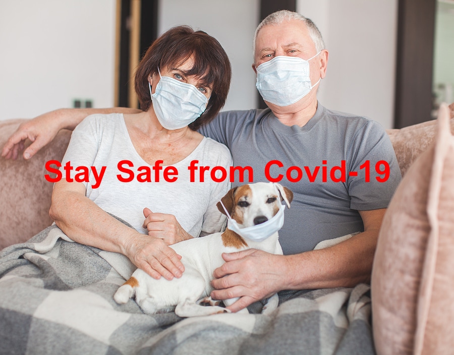Read more about the article Best Tips on How to Keep Pets Safe from Covid-19