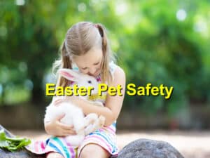 Easter Pet Safety