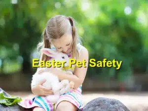 Read more about the article Easter Pet Safety: Preventing Common Holiday Hazards