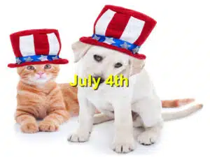 Read more about the article Pet Safety for July 4th: Preventing Firework Stress and Injuries