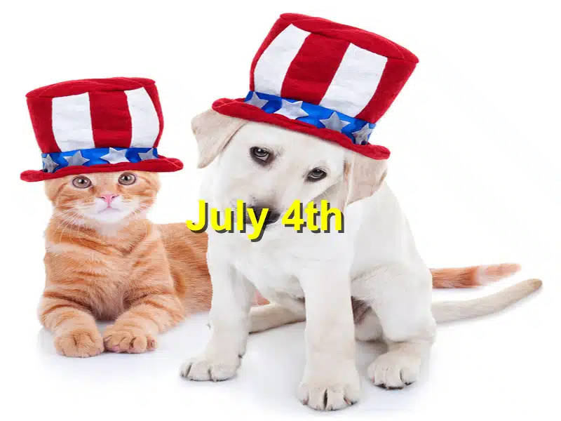 Read more about the article Pet Safety for July 4th: Preventing Firework Stress and Injuries