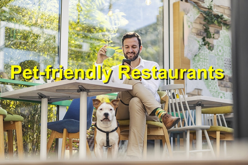 Unveiling the Top Pet-Friendly Restaurants in Braselton, GA