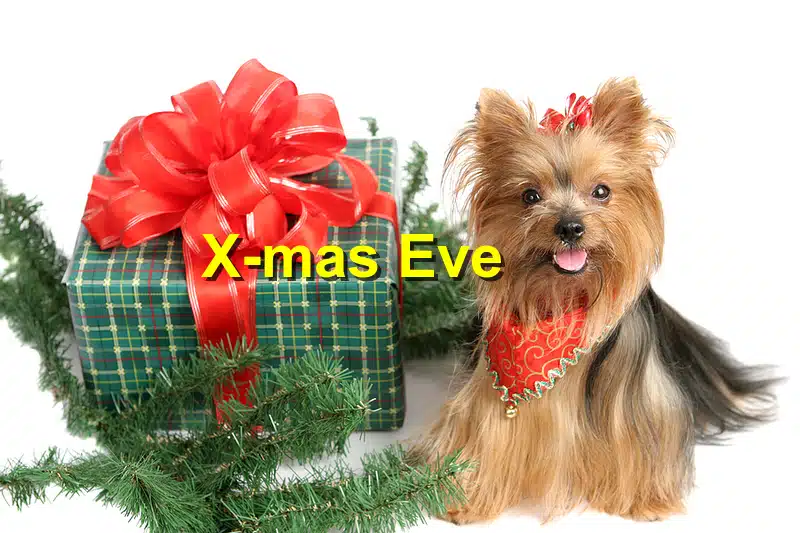 Read more about the article Christmas Eve: Tips for a Safe and Merry Celebration with Your Pets