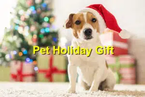 Pet Holiday Gift