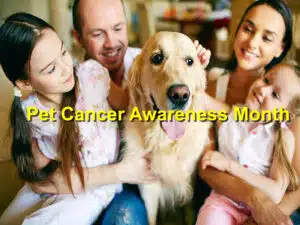 Pet Cancer Awareness Month