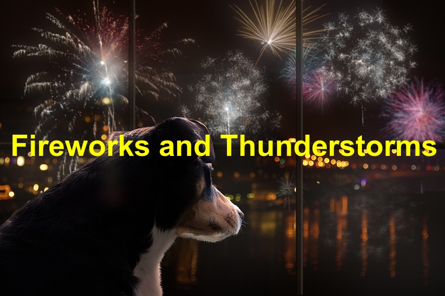 How to Care for Your Pet During Fireworks and Thunderstorms
