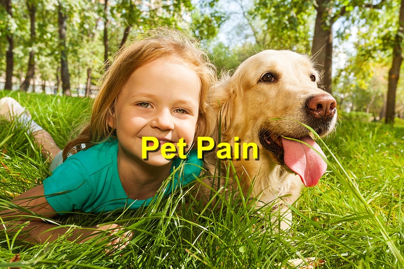 Recognizing Signs of Pet Pain and When to Seek Emergency Care
