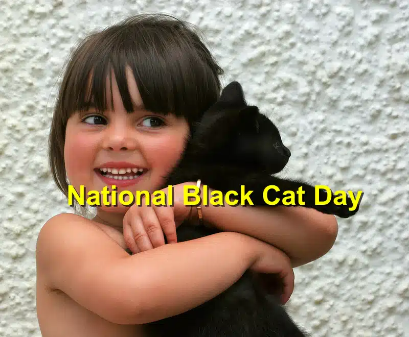 You are currently viewing National Black Cat Day: Celebrating the Beauty of Black Cats