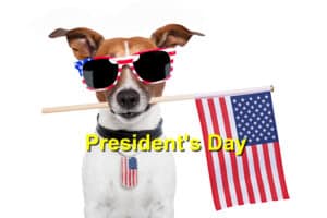 Read more about the article Presidents’ Day: Pet-Friendly Getaways and Travel Tips