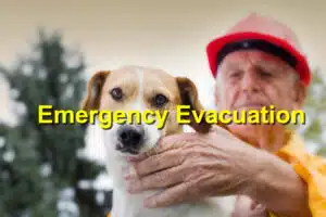 Emergency evacuation plan